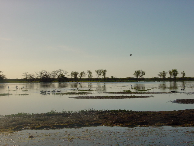 DSC00066.JPG