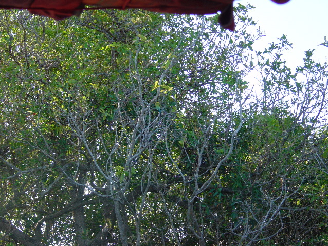 DSC00067.JPG