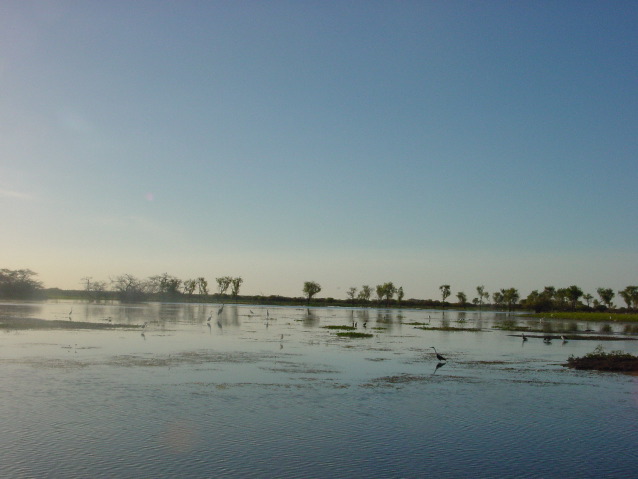 DSC00069.JPG