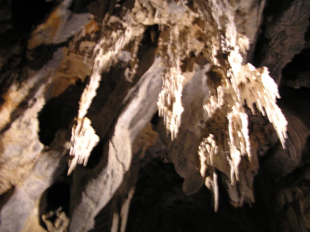 P7050061.JPG