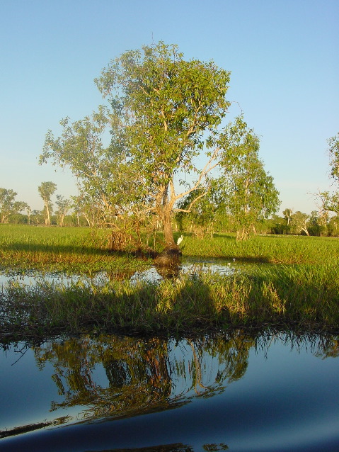 DSC00072.JPG