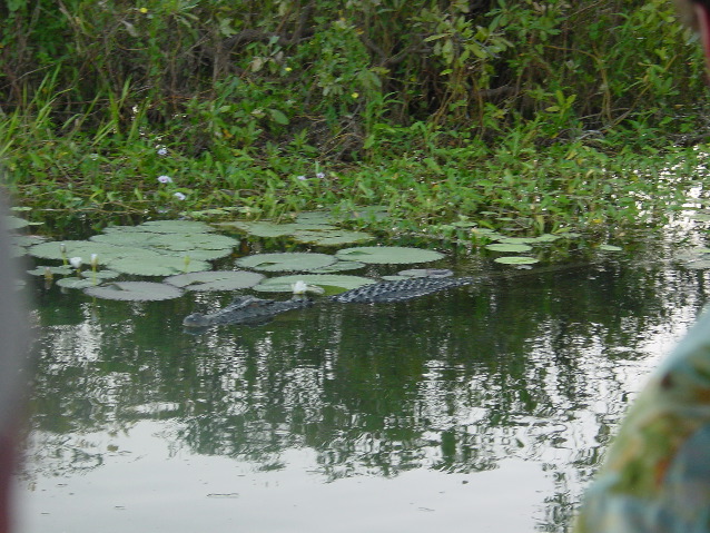 DSC00074.JPG