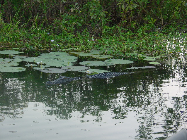 DSC00075.JPG