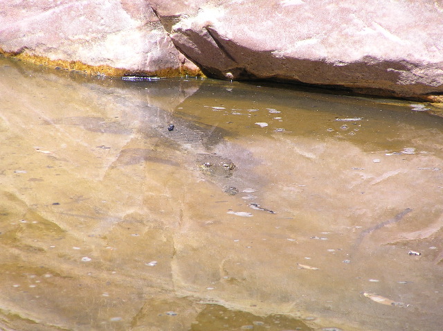 P7150195.JPG