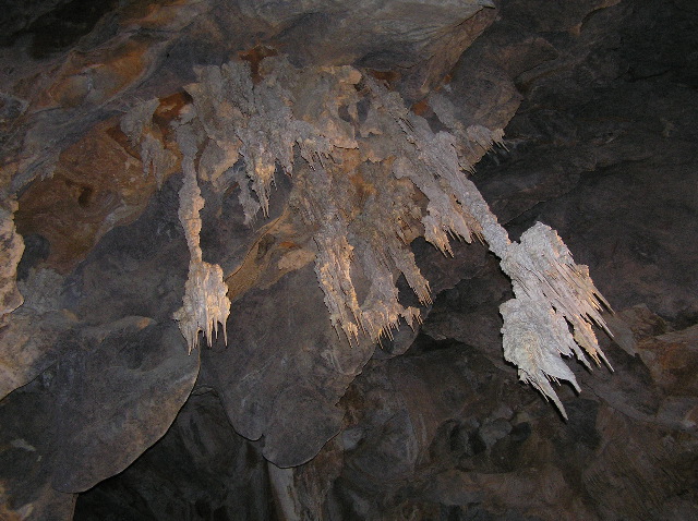 P7050064.JPG