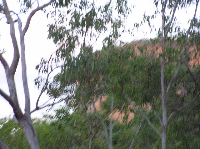 P7160255.JPG