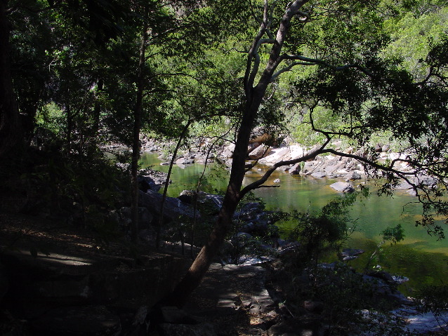 DSC00005.JPG