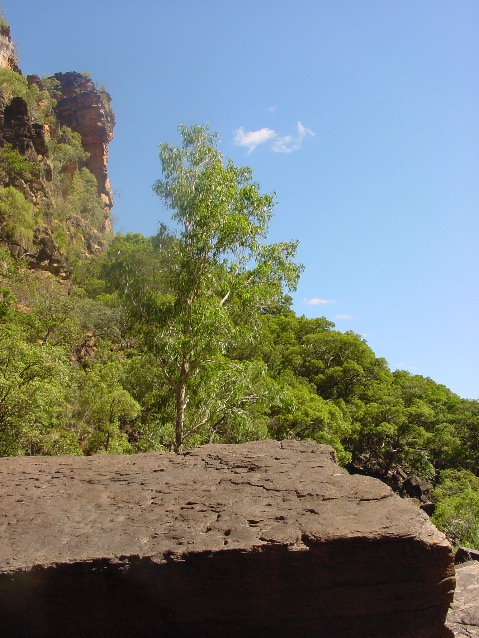 DSC00026.JPG