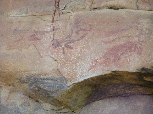 P7160262.JPG