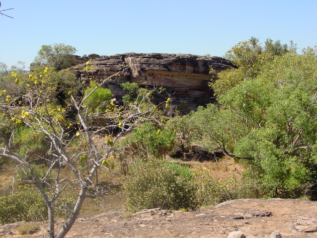 DSC00075.JPG