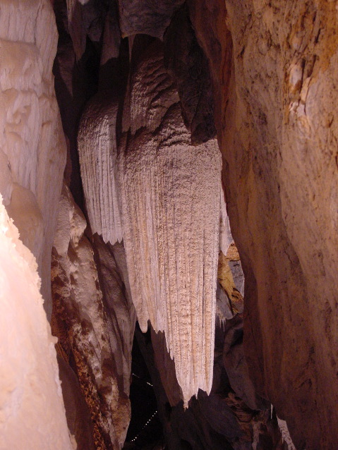 DSC00023.JPG