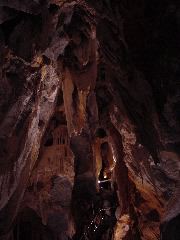 DSC00029.JPG