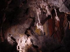 DSC00032.JPG