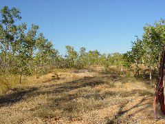 DSC00040.JPG