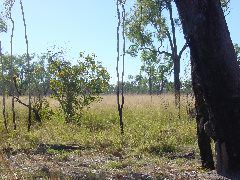 DSC00041.JPG