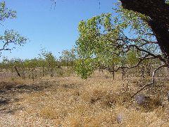 DSC00055.JPG