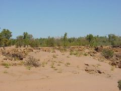DSC00060.JPG