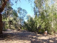 DSC00073.JPG