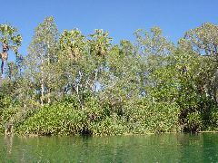 DSC00077.JPG