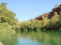 DSC00082.JPG