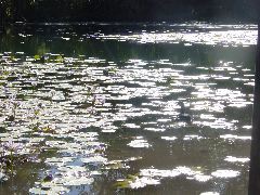 DSC00001.JPG
