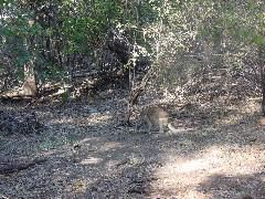 DSC00002.JPG