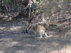 DSC00003.JPG