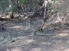 DSC00004.JPG