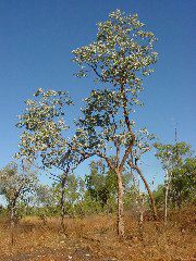 DSC00008.JPG