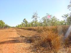 DSC00009.JPG