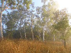 P7100197.JPG