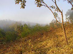 P7100198.JPG
