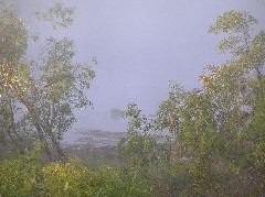 P7100201.JPG