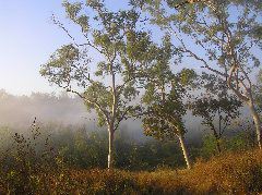 P7100202.JPG