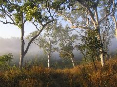 P7100203.JPG