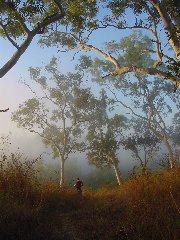 DSC00013.JPG