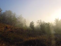 DSC00014.JPG