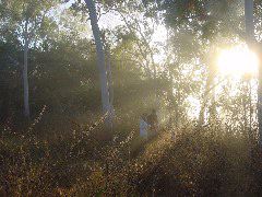 DSC00016.JPG