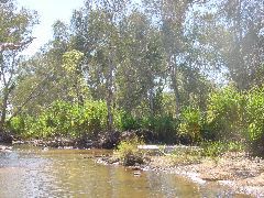 DSC00024.JPG