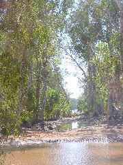 DSC00025.JPG