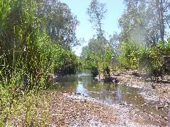 DSC00027.JPG