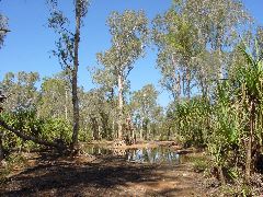 DSC00029.JPG
