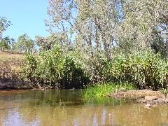DSC00031.JPG