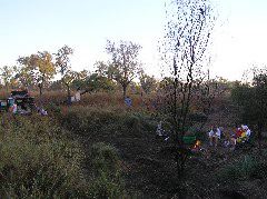P7110221.JPG