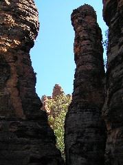 P7110231.JPG