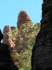 P7110232.JPG