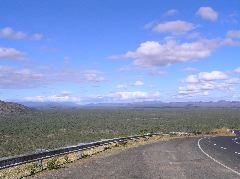 P7050040.JPG