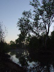 DSC00037.JPG