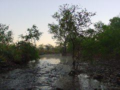 DSC00038.JPG