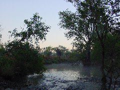 DSC00039.JPG